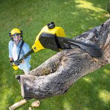 Best Lawn Mowing  in Leominster, MA